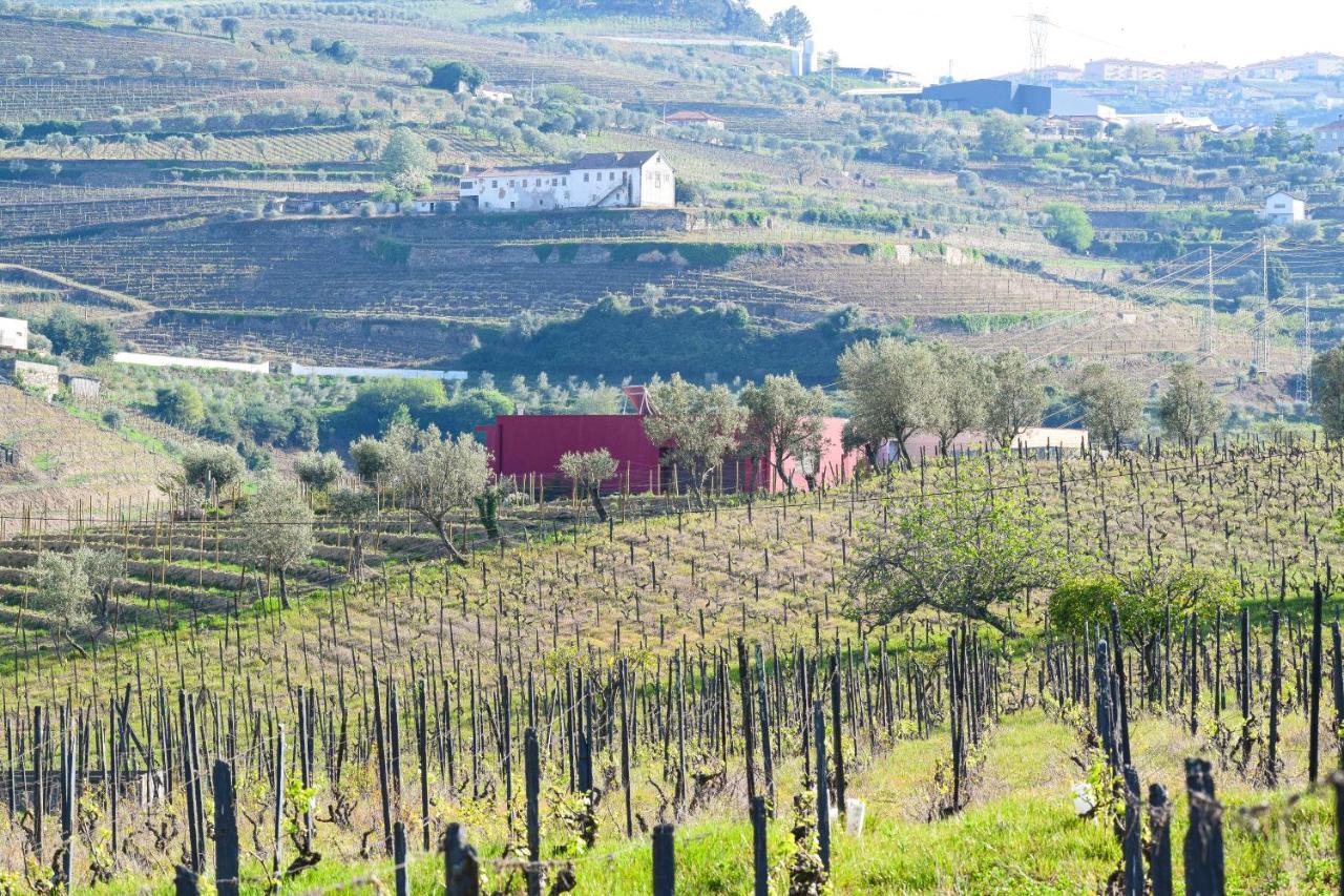 Quinta Dos Padrinhos - Suites In The Heart Of The Douro Lamego Exterior foto