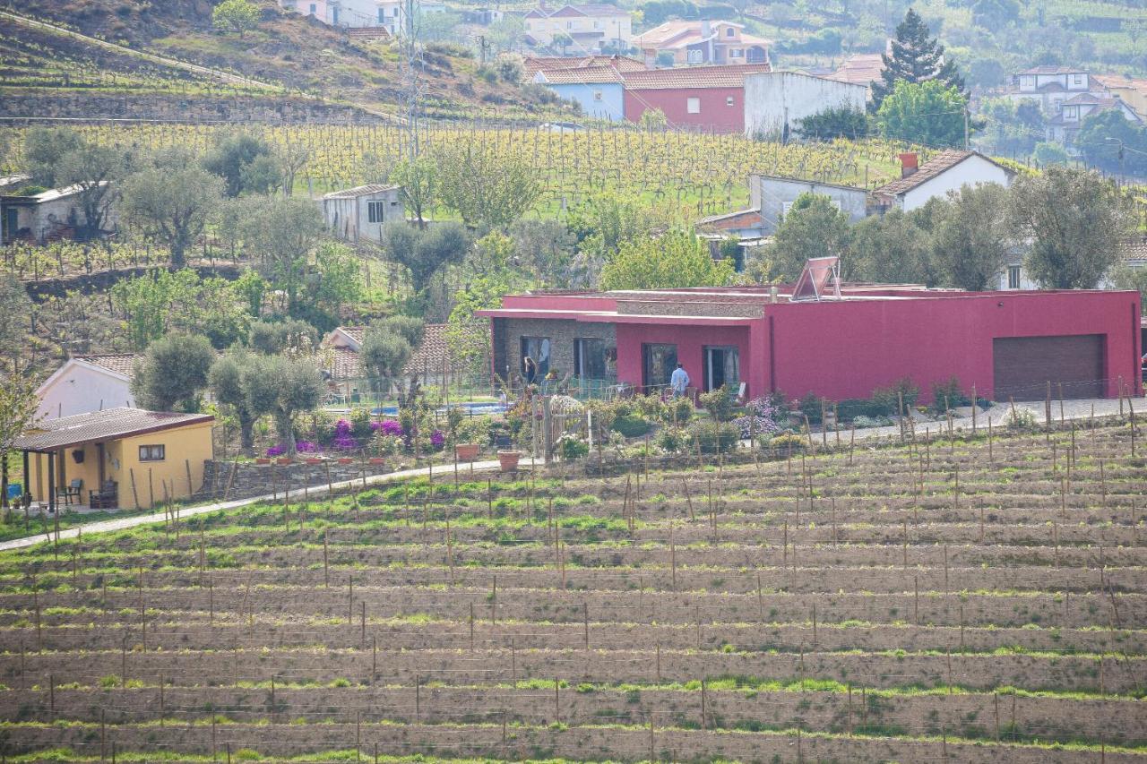 Quinta Dos Padrinhos - Suites In The Heart Of The Douro Lamego Exterior foto