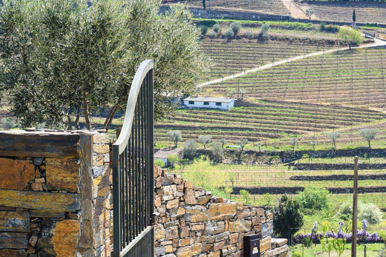 Quinta Dos Padrinhos - Suites In The Heart Of The Douro Lamego Exterior foto