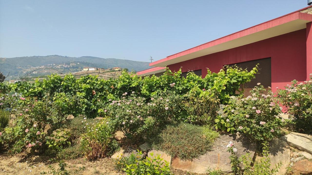 Quinta Dos Padrinhos - Suites In The Heart Of The Douro Lamego Exterior foto