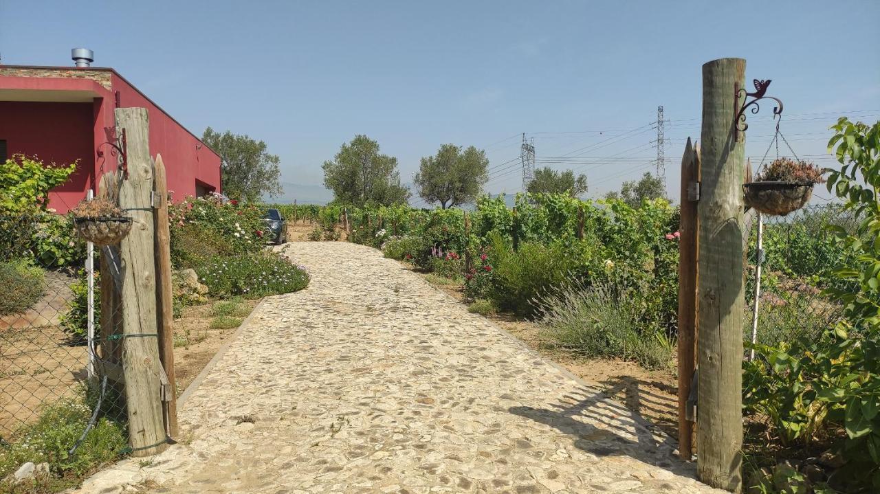 Quinta Dos Padrinhos - Suites In The Heart Of The Douro Lamego Exterior foto
