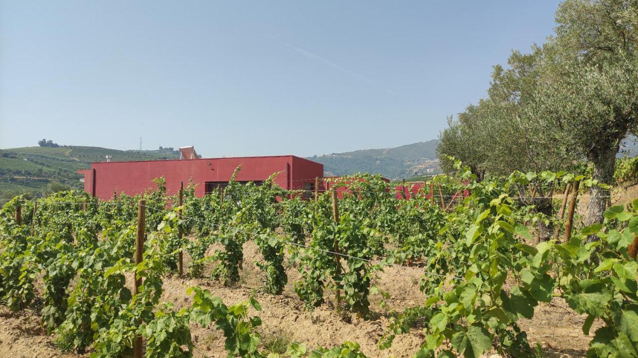 Quinta Dos Padrinhos - Suites In The Heart Of The Douro Lamego Exterior foto