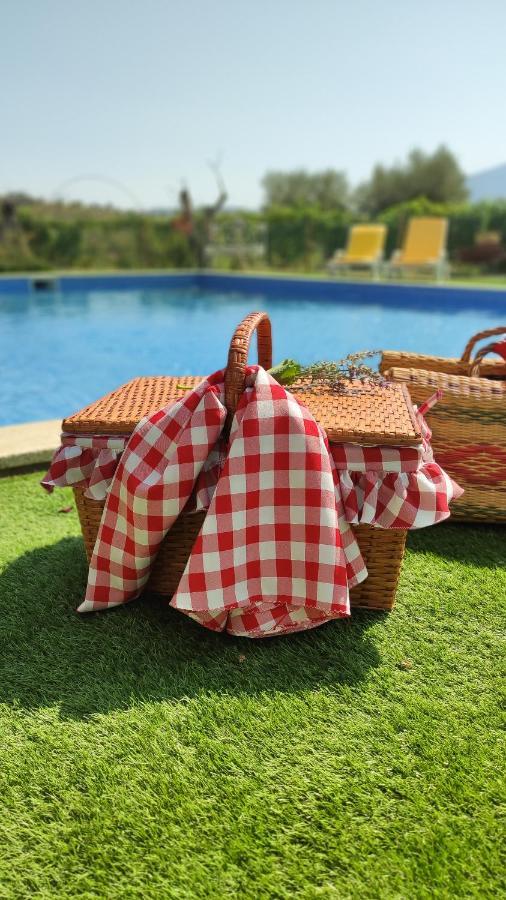 Quinta Dos Padrinhos - Suites In The Heart Of The Douro Lamego Exterior foto
